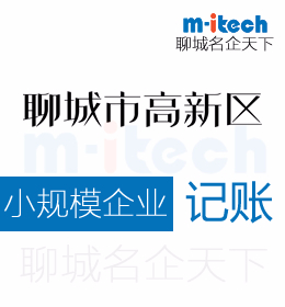 聊城高新區(qū)申請小規(guī)模納稅人為何不能享受小微企業(yè)的政策