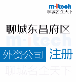 聊城東昌府區(qū)注冊外資公司營業(yè)執(zhí)照代辦理